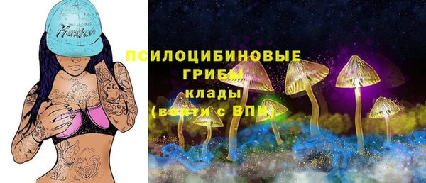 a pvp Алексин