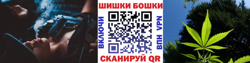 Бошки Шишки сатива  Циолковский 